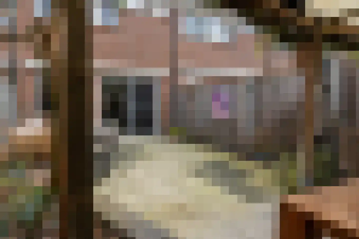 Spireadreef 3 Bleiswijk thumbnail 14