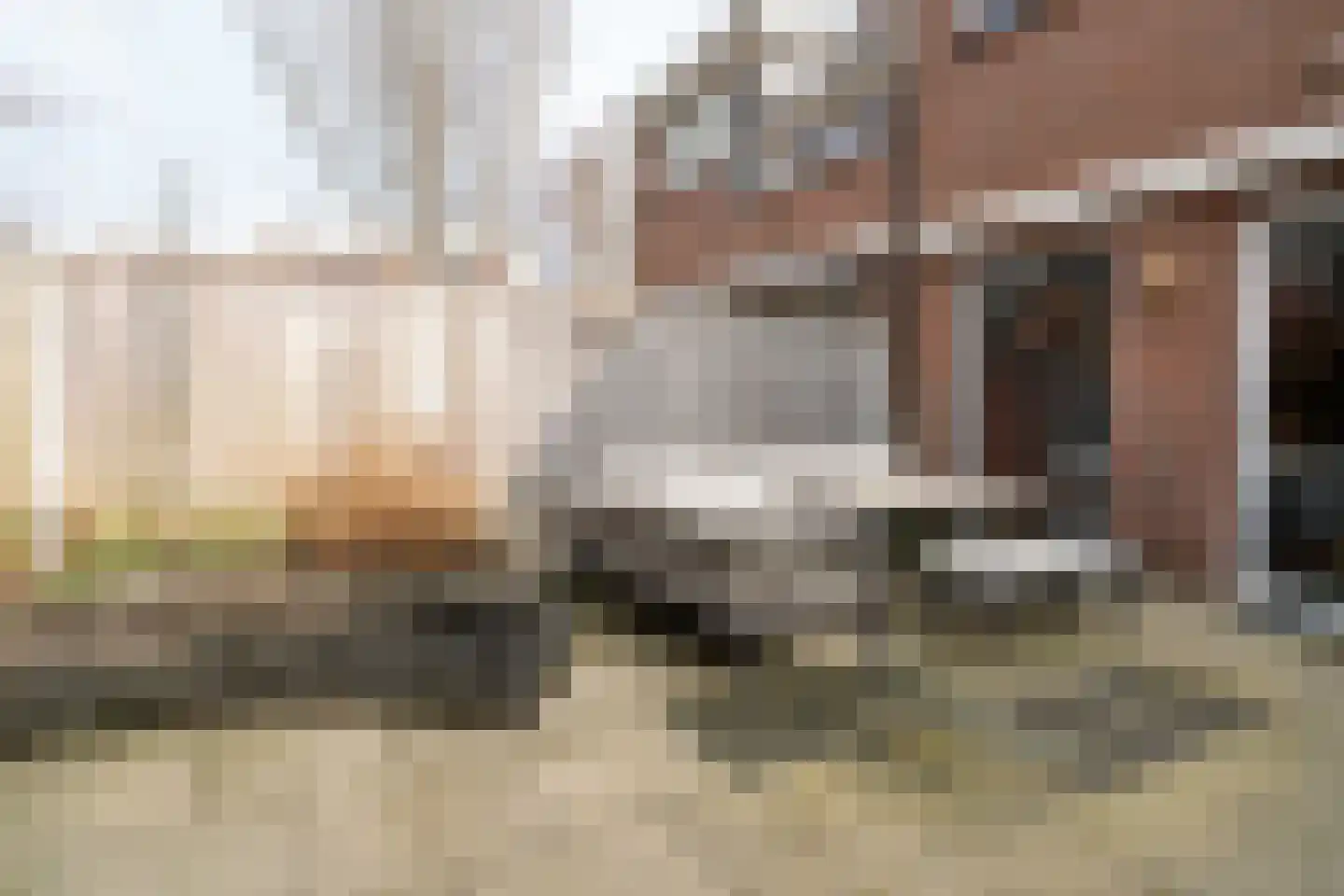 Spireadreef 3 Bleiswijk thumbnail 15