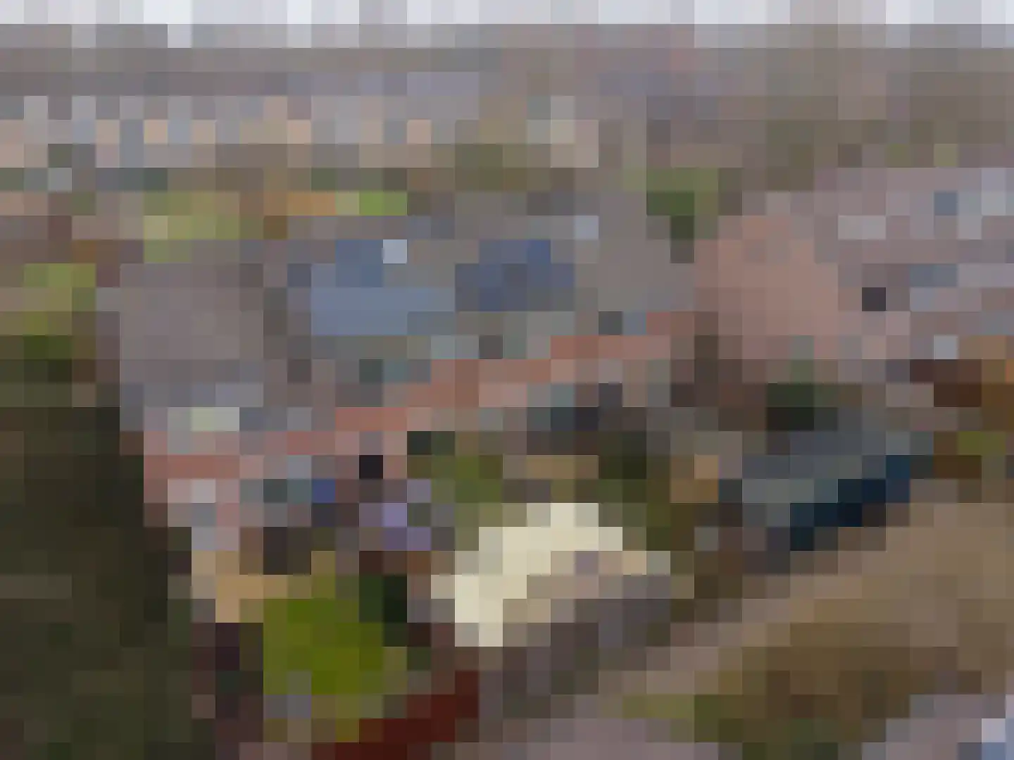 Spireadreef 3 Bleiswijk thumbnail 18