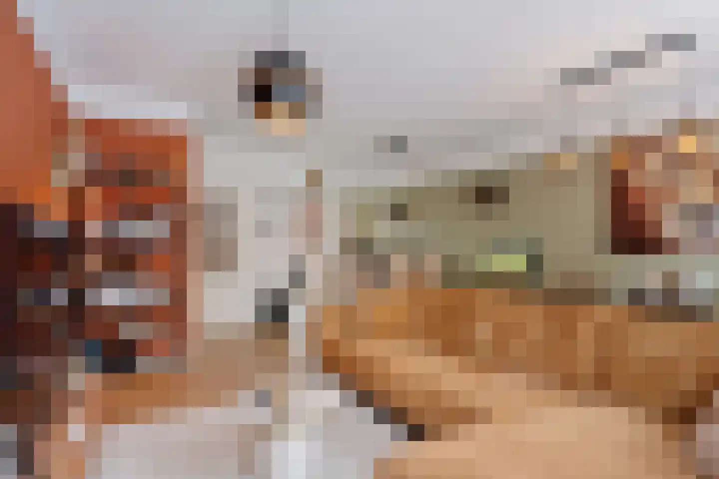 Spireadreef 3 Bleiswijk thumbnail 20