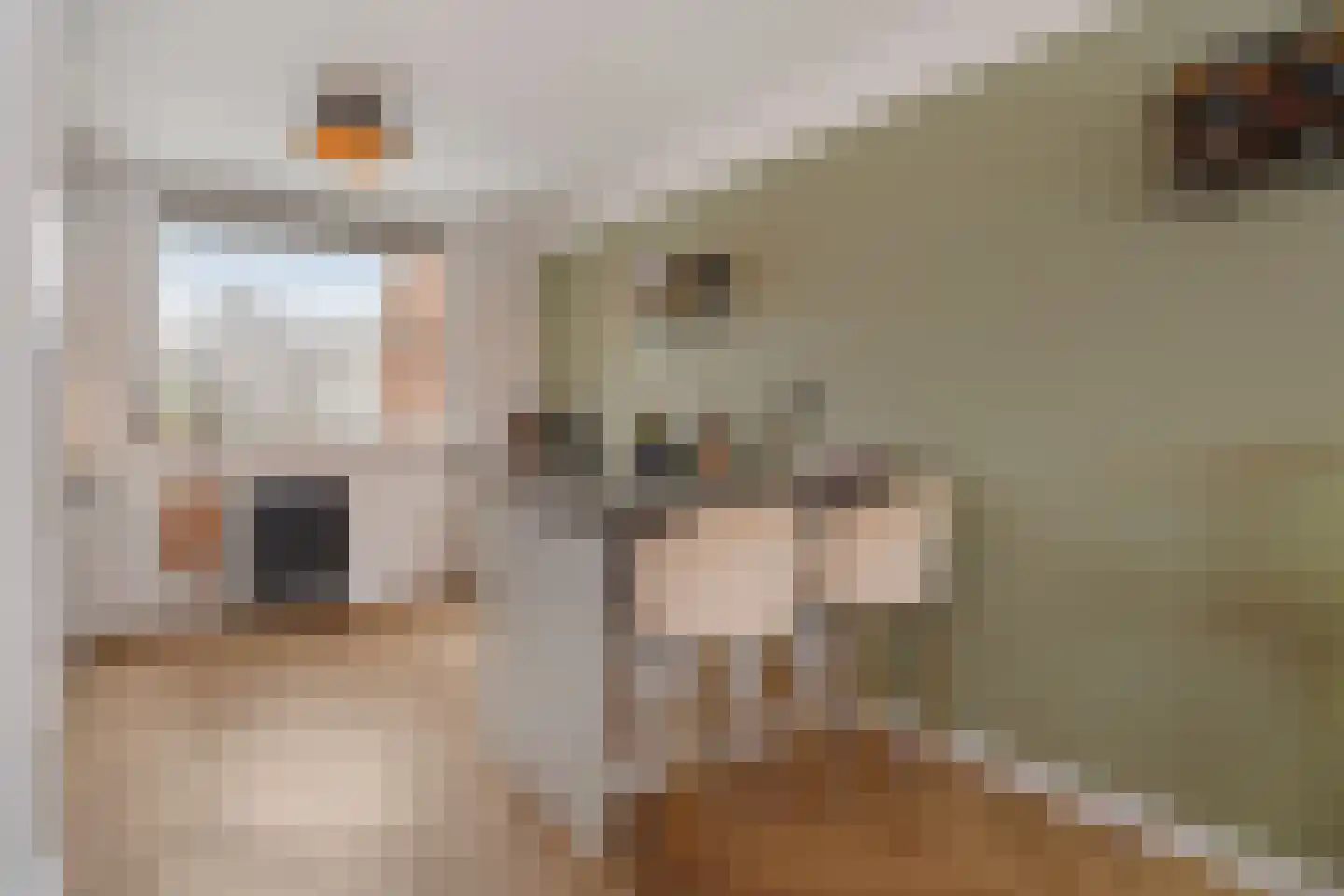 Spireadreef 3 Bleiswijk thumbnail 23