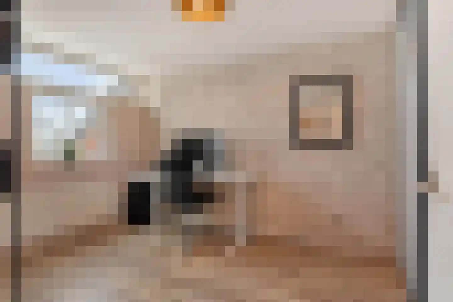 Spireadreef 3 Bleiswijk thumbnail 32