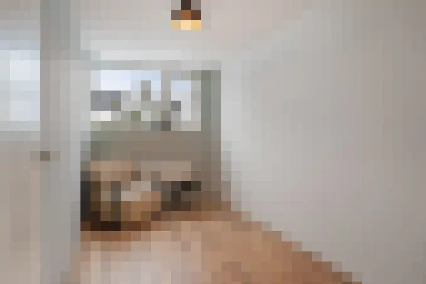 Spireadreef 3 Bleiswijk thumbnail 33