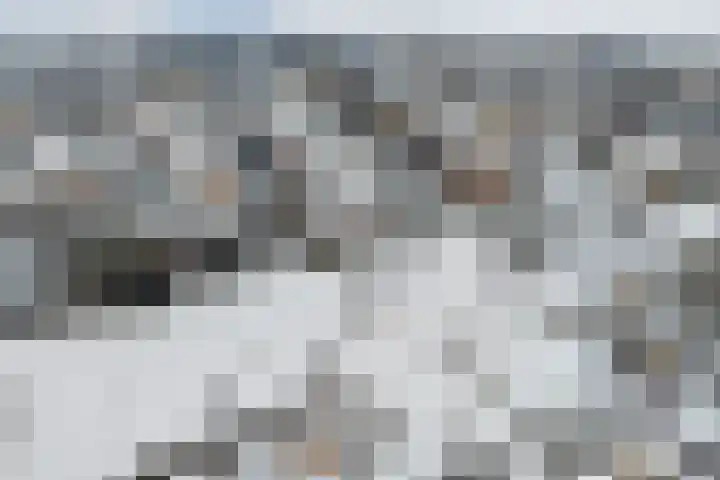 Spireadreef 3 Bleiswijk thumbnail 43