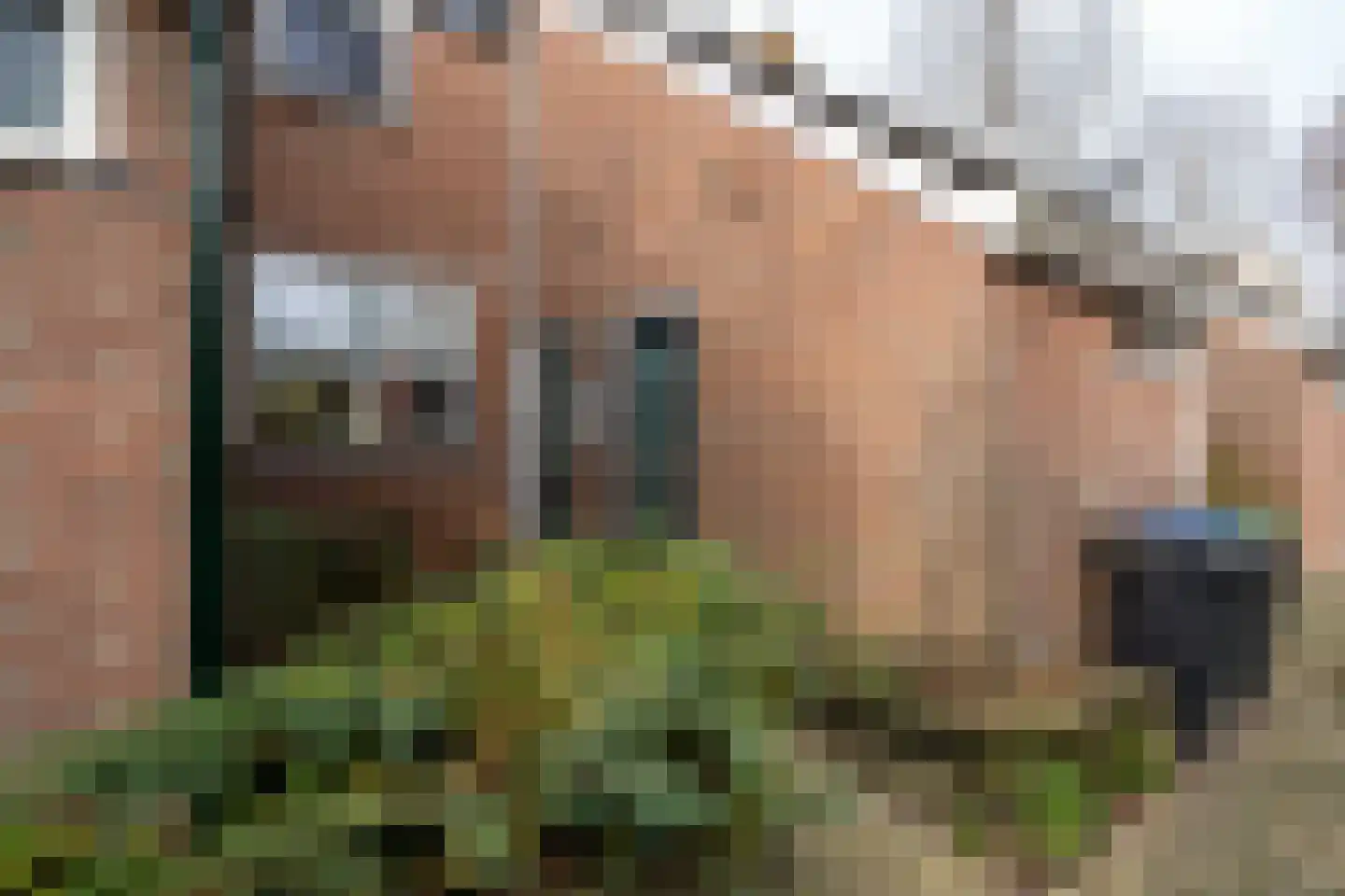 Spireadreef 3 Bleiswijk thumbnail 39