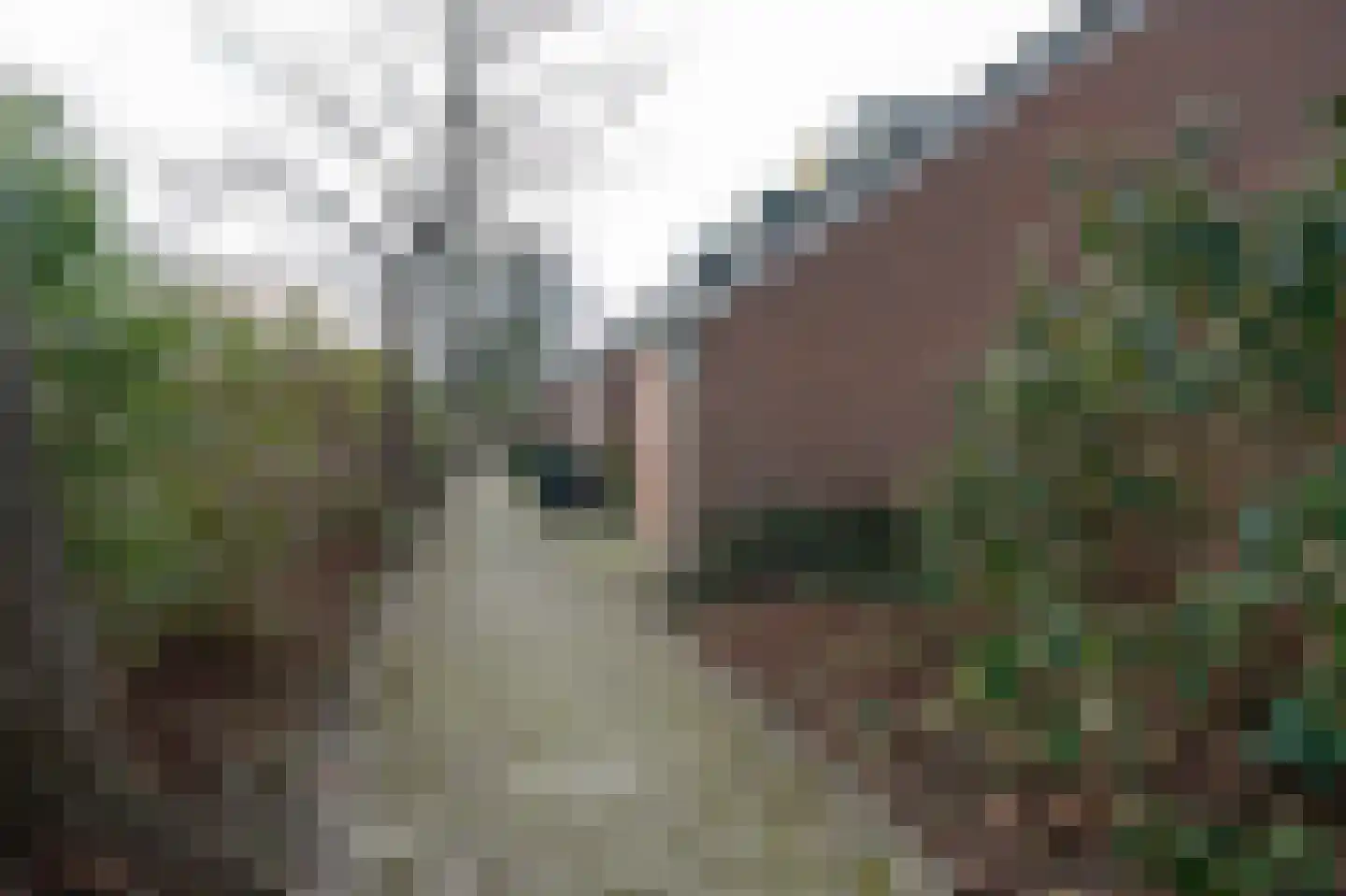 Spireadreef 3 Bleiswijk thumbnail 40
