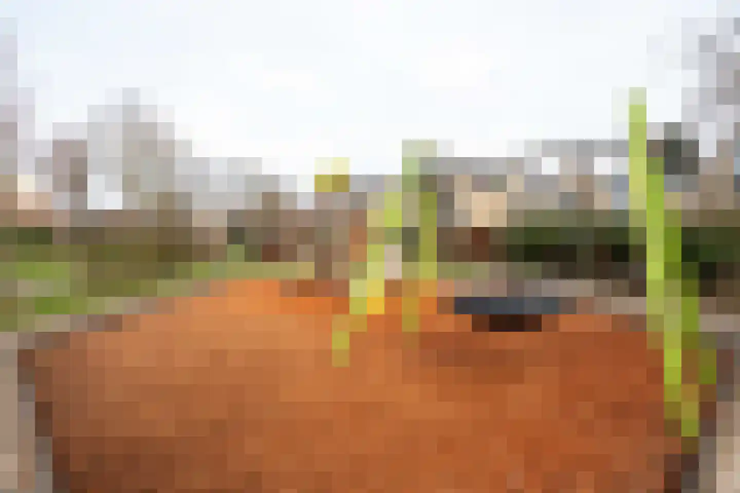 Spireadreef 3 Bleiswijk thumbnail 52