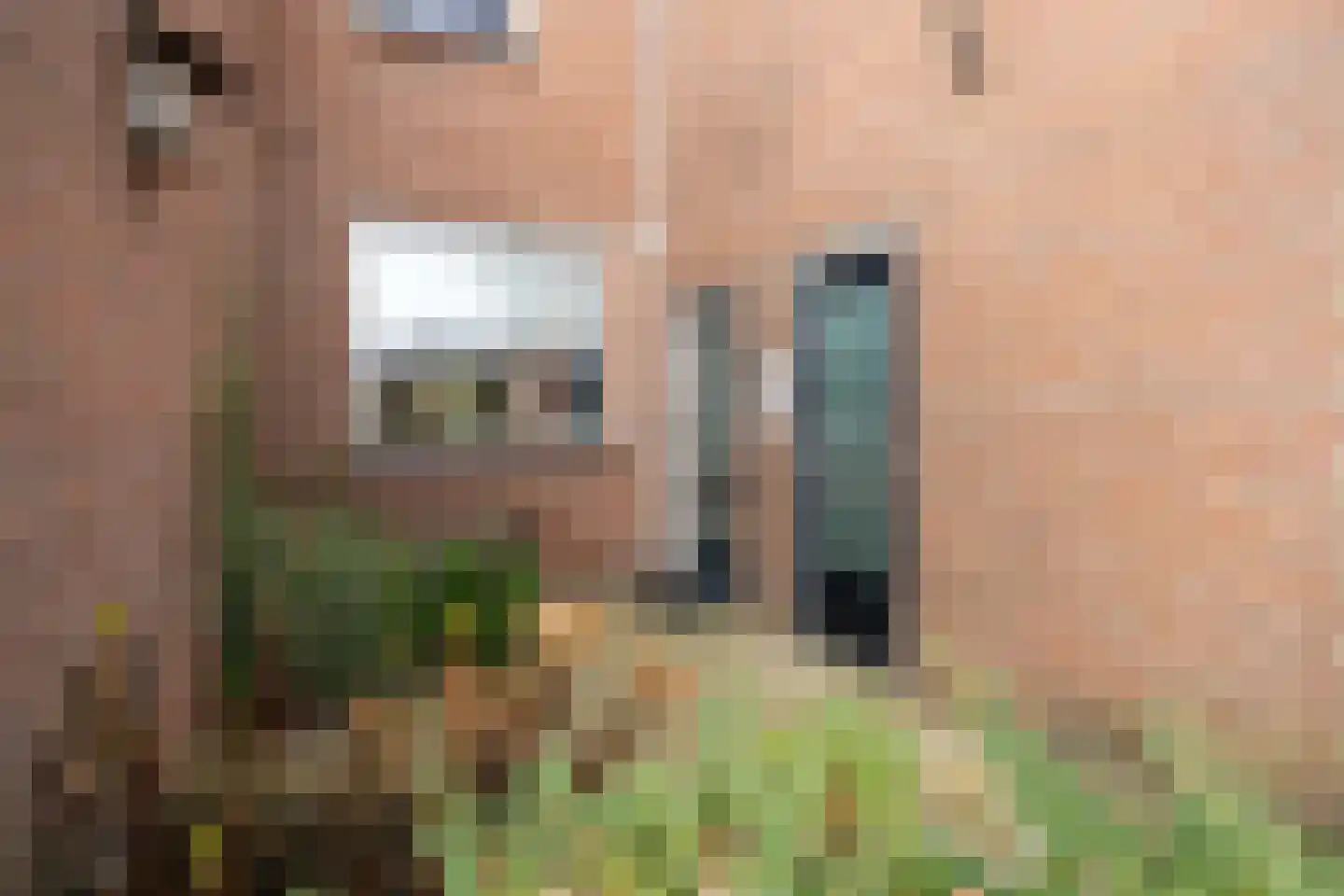 Spireadreef 3 Bleiswijk thumbnail 6