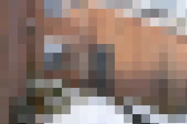 Spireadreef 3 Bleiswijk thumbnail 6