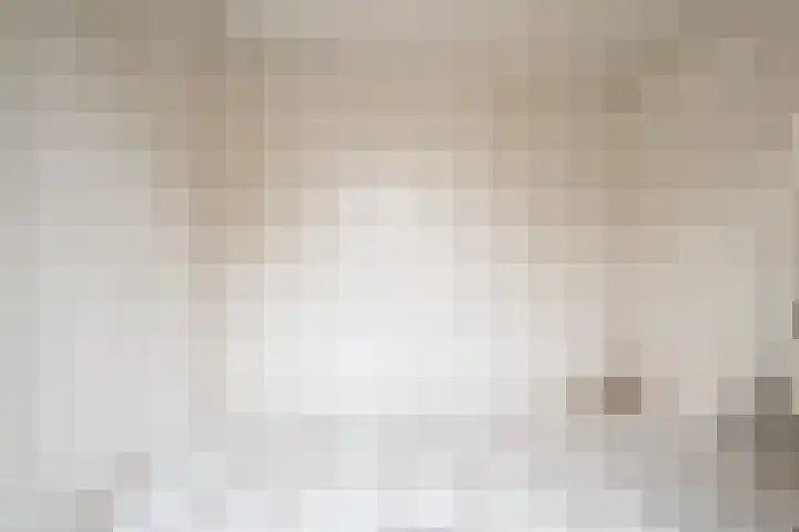 Spireadreef 9 Bleiswijk thumbnail 27