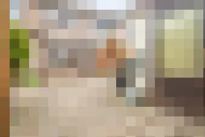 Spireadreef 9 Bleiswijk thumbnail 28