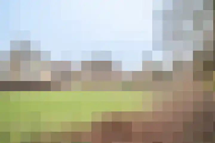 Spireadreef 9 Bleiswijk thumbnail 32