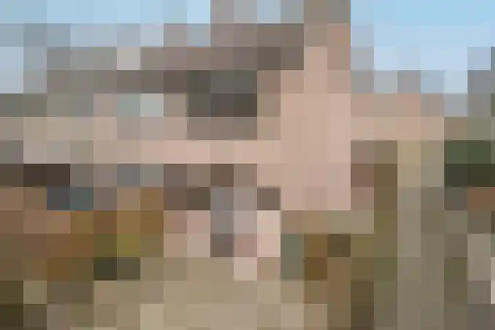 Spireadreef 9 Bleiswijk thumbnail 5