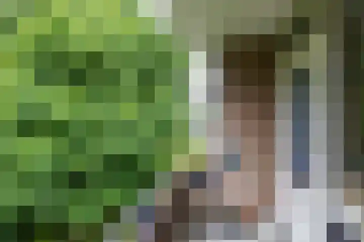Spirealaan 104 Groningen thumbnail 18