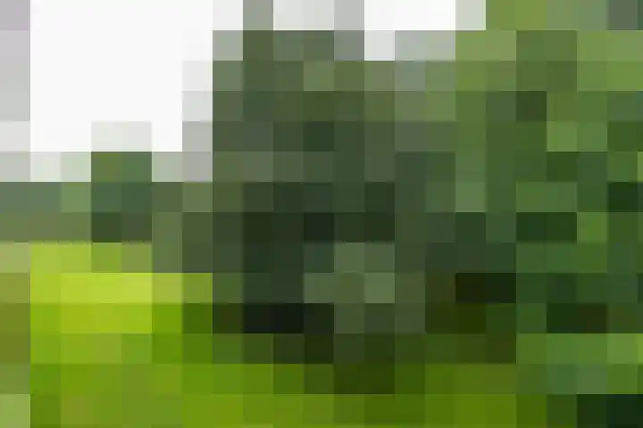 Spirealaan 104 Groningen thumbnail 19