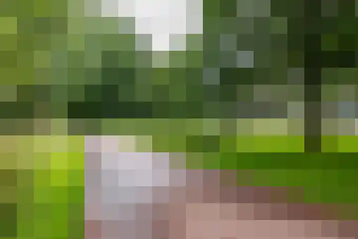 Spirealaan 104 Groningen thumbnail 28