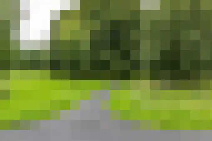 Spirealaan 104 Groningen thumbnail 29