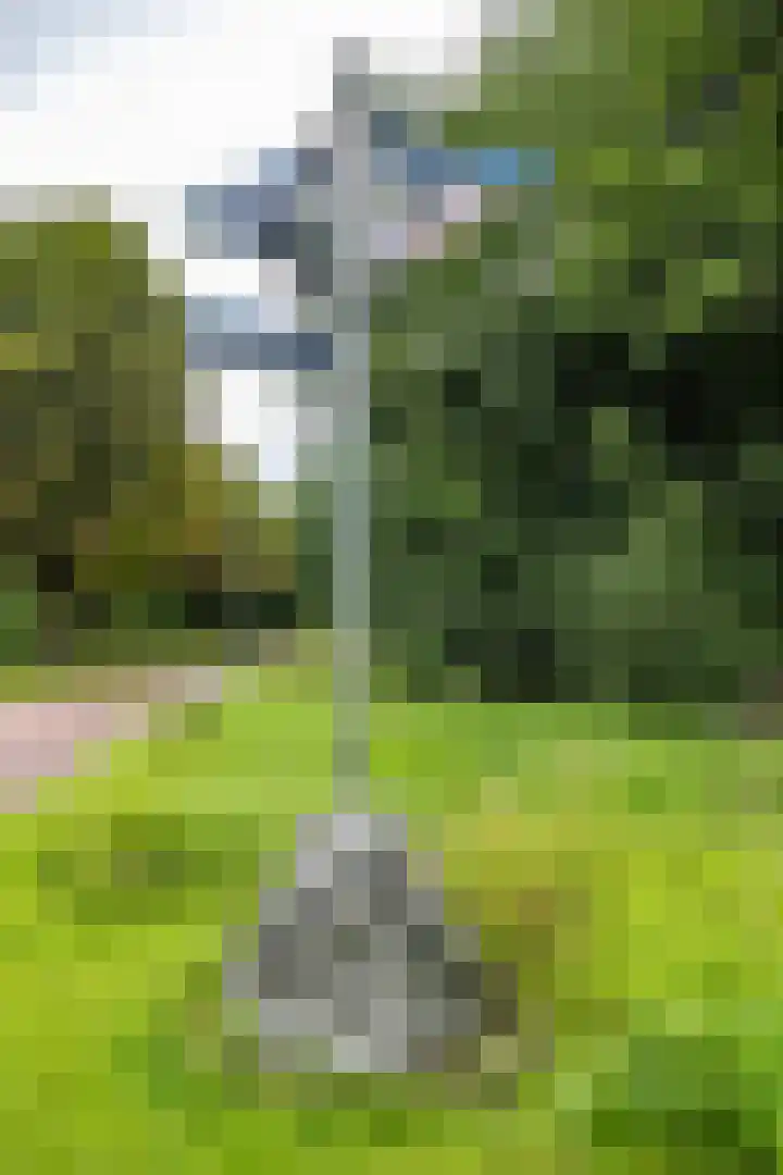 Spirealaan 104 Groningen thumbnail 30