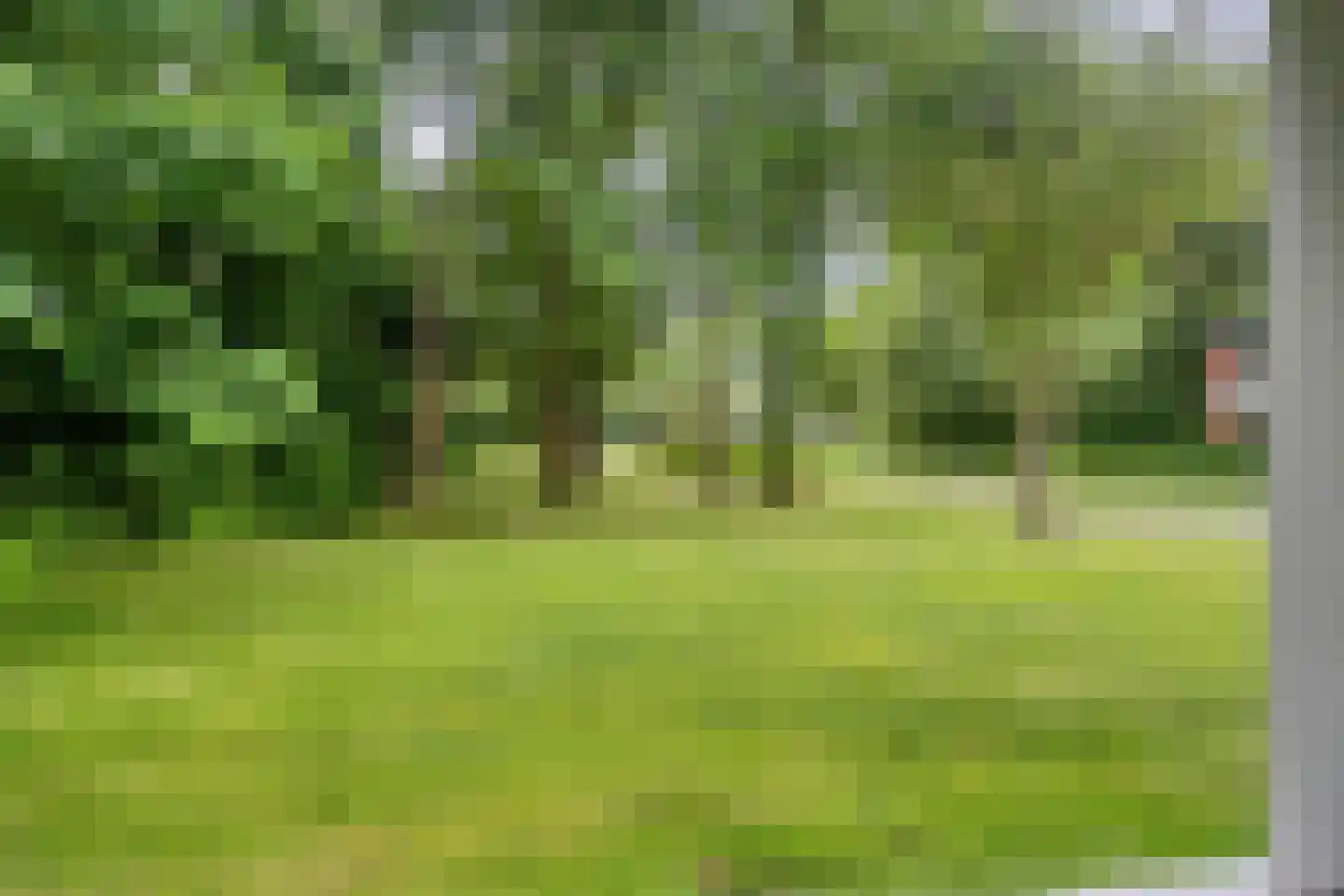 Spirealaan 112 Groningen thumbnail 41