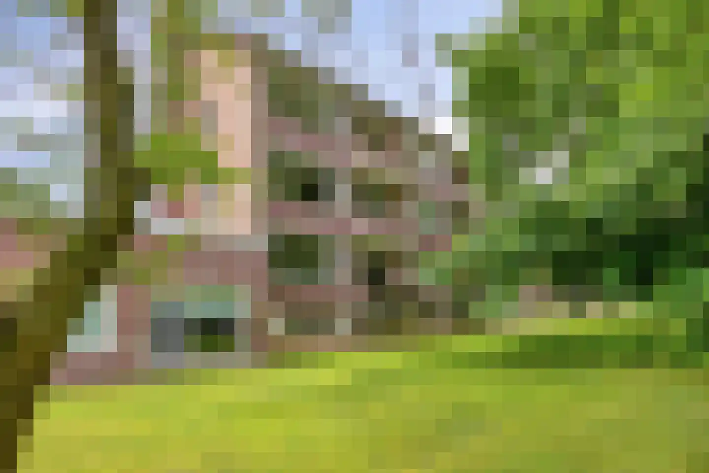 Spirealaan 112 Groningen thumbnail 9