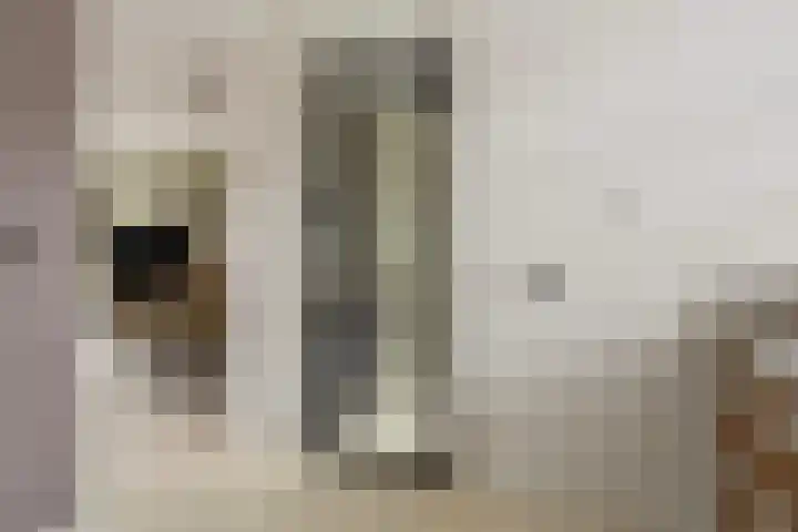 Spirealaan 15 Rosmalen thumbnail 11