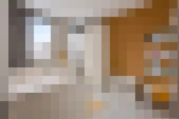 Spirealaan 15 Rosmalen thumbnail 15