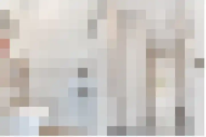Spirealaan 15 Rosmalen thumbnail 16
