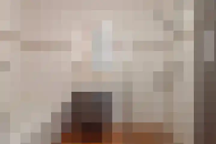 Spirealaan 15 Rosmalen thumbnail 20