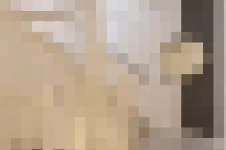 Spirealaan 15 Rosmalen thumbnail 22
