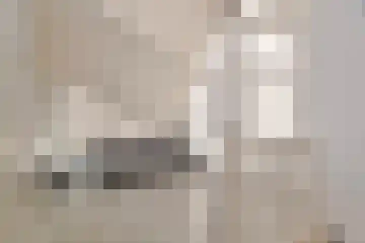 Spirealaan 15 Rosmalen thumbnail 24