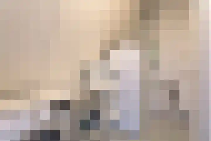 Spirealaan 15 Rosmalen thumbnail 29