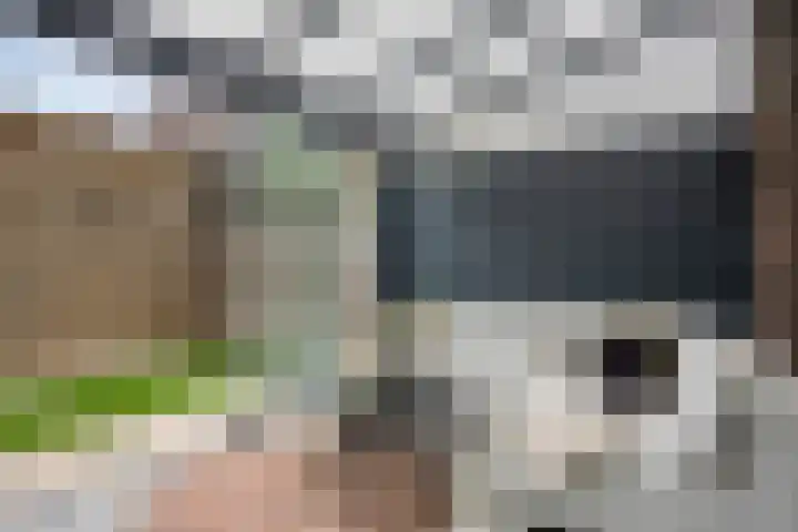 Spirealaan 15 Rosmalen thumbnail 34