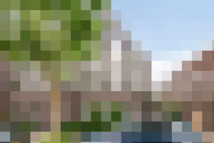 Spirealaan 15 Rosmalen thumbnail 39
