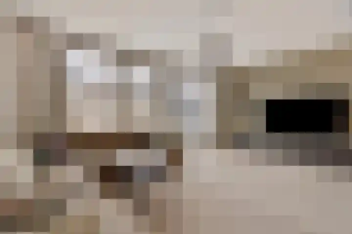 Spirealaan 15 Rosmalen thumbnail 4