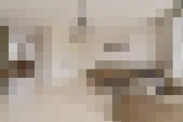 Spirealaan 15 Rosmalen thumbnail 5