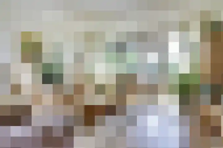 Spirealaan 160 Winterswijk thumbnail 10