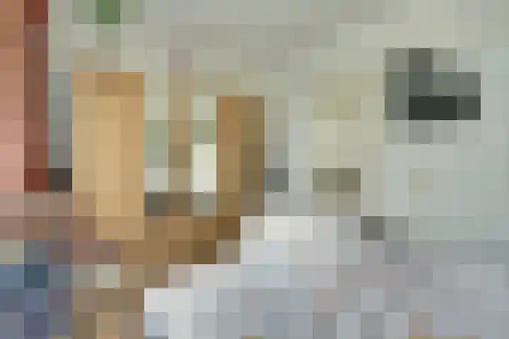 Spirealaan 160 Winterswijk thumbnail 20