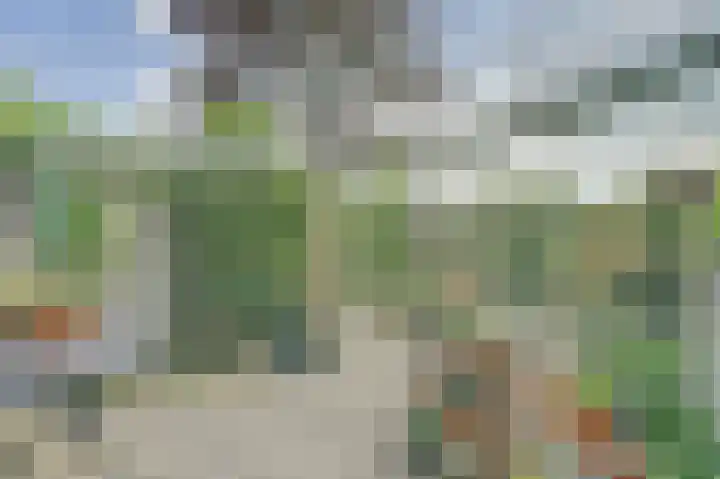 Spirealaan 160 Winterswijk thumbnail 26