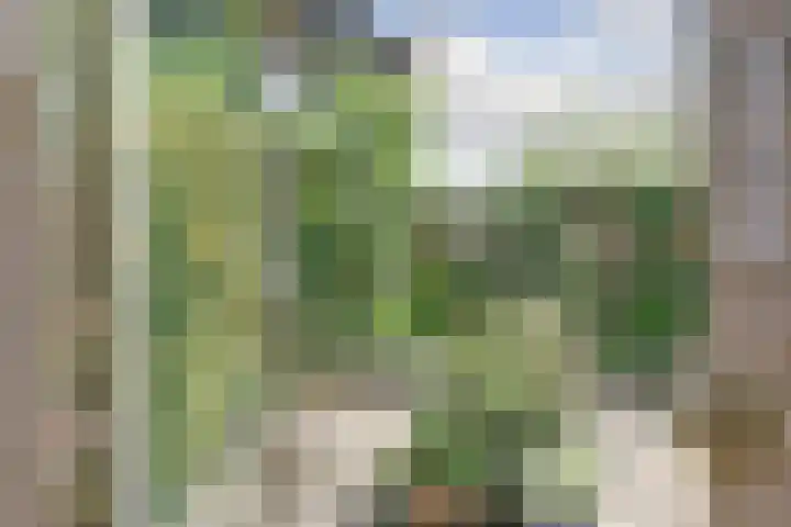 Spirealaan 160 Winterswijk thumbnail 29