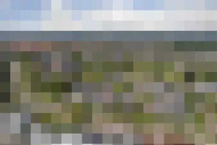 Spirealaan 160 Winterswijk thumbnail 31