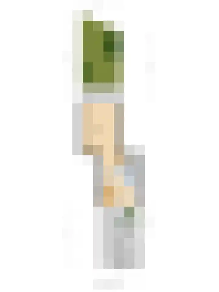 Spirealaan 160 Winterswijk thumbnail 35