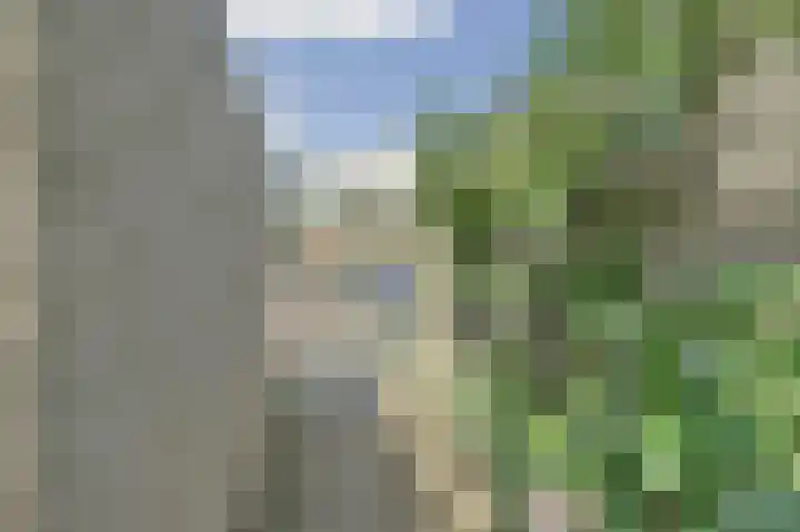 Spirealaan 160 Winterswijk thumbnail 5