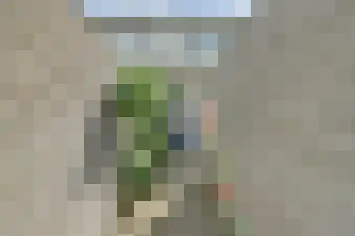 Spirealaan 160 Winterswijk thumbnail 6