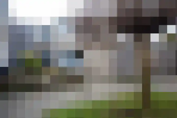 Spirealaan 174 Winterswijk thumbnail 36