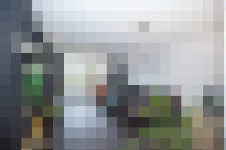 Spirealaan 174 Winterswijk thumbnail 8