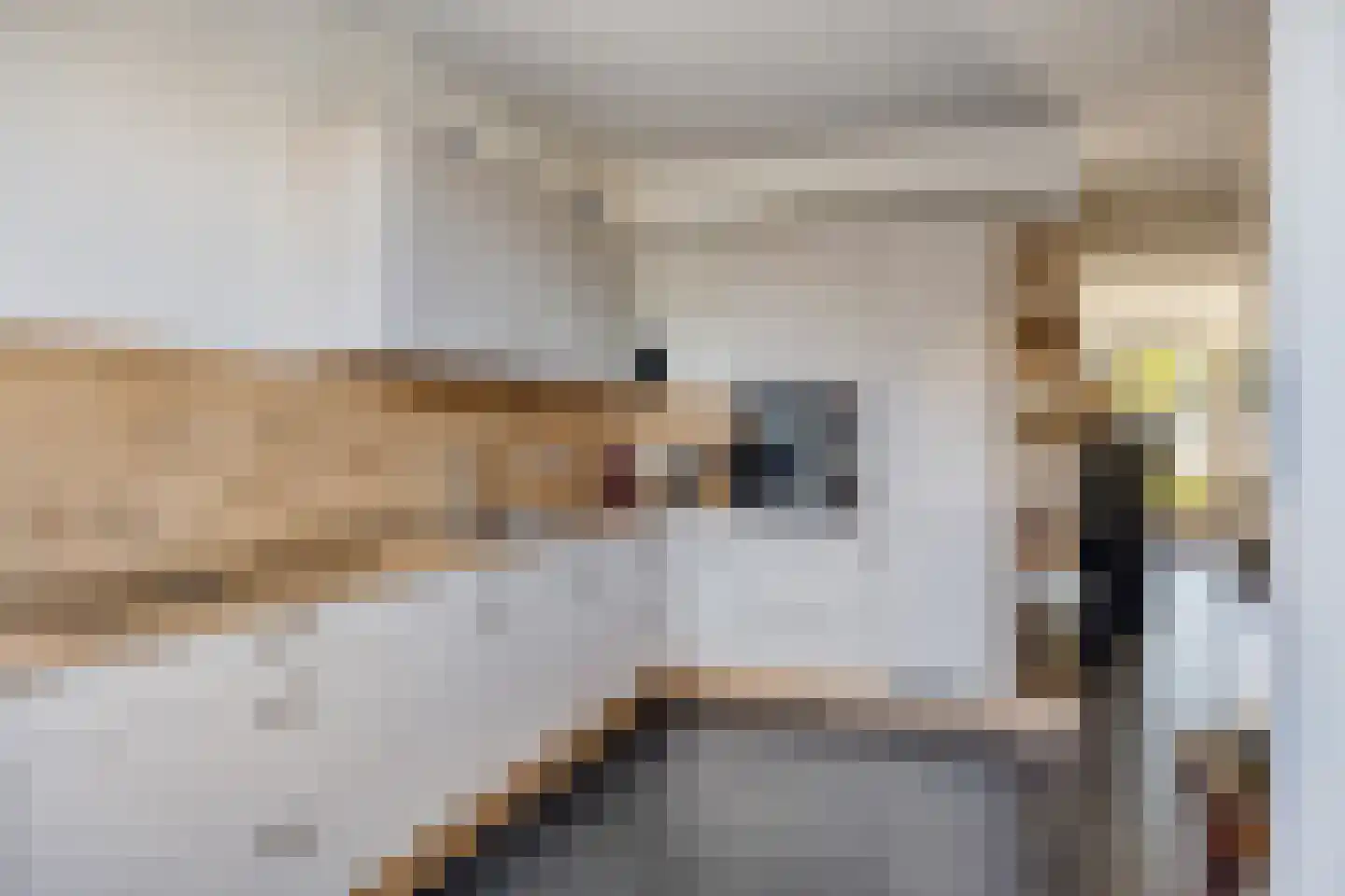 Spirealaan 176 Winterswijk thumbnail 13