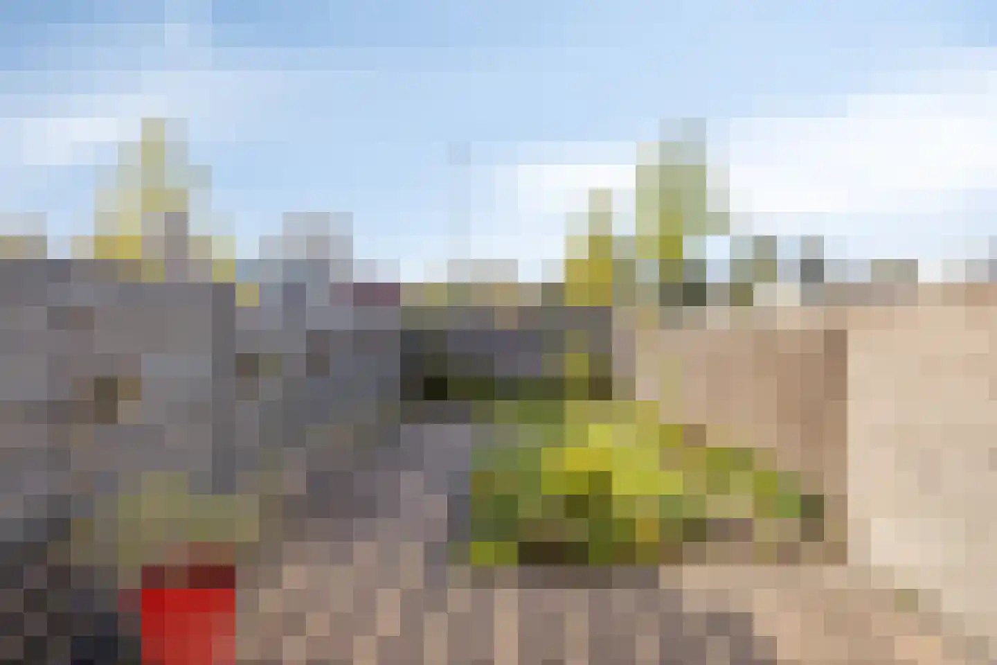 Spirealaan 176 Winterswijk thumbnail 27