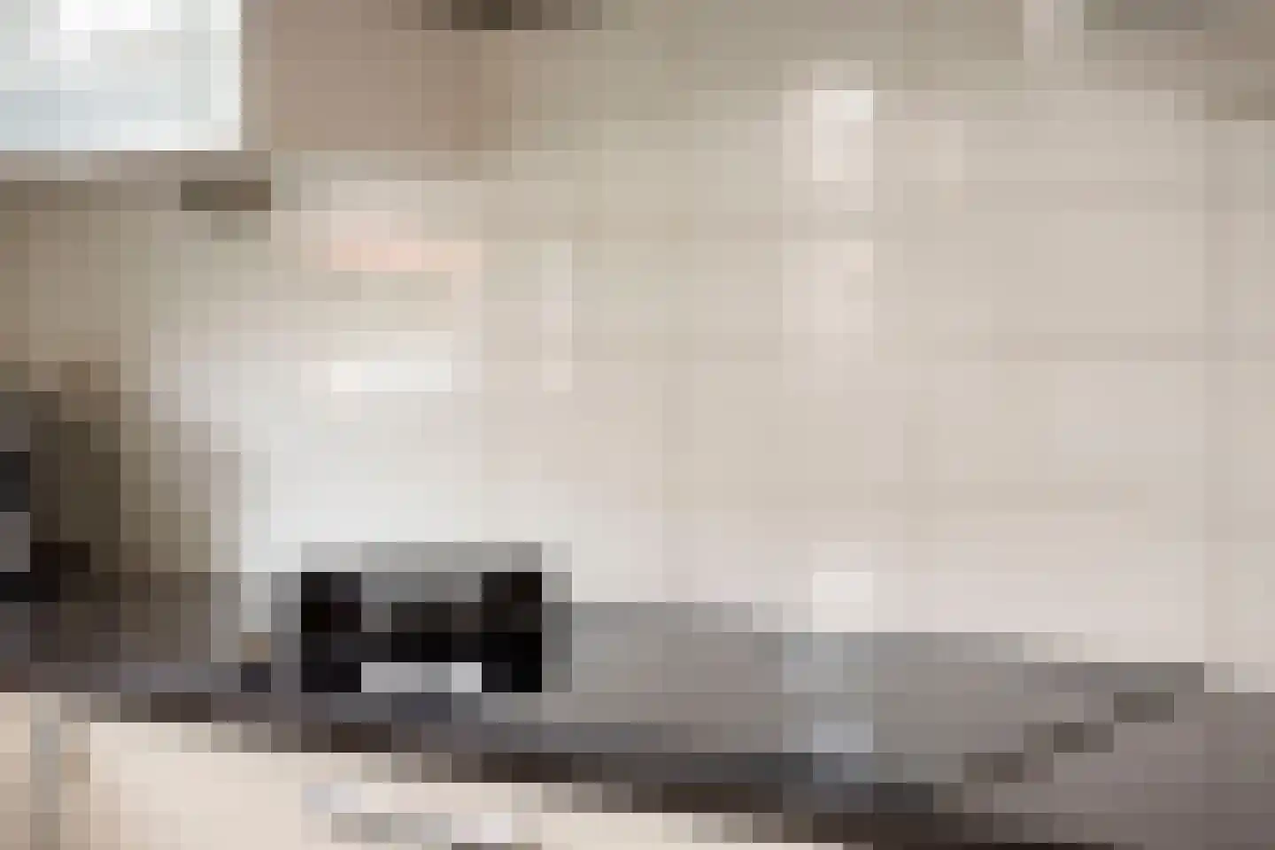 Spirealaan 21 Rosmalen thumbnail 11