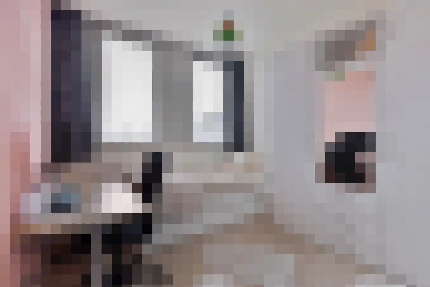 Spirealaan 21 Rosmalen thumbnail 20
