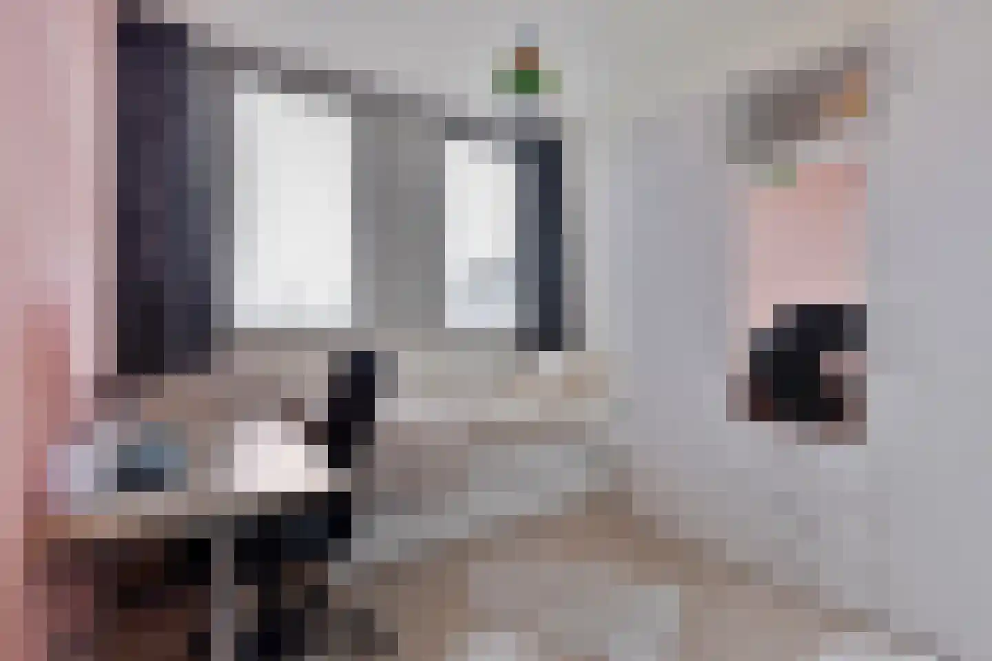 Spirealaan 21 Rosmalen thumbnail 20